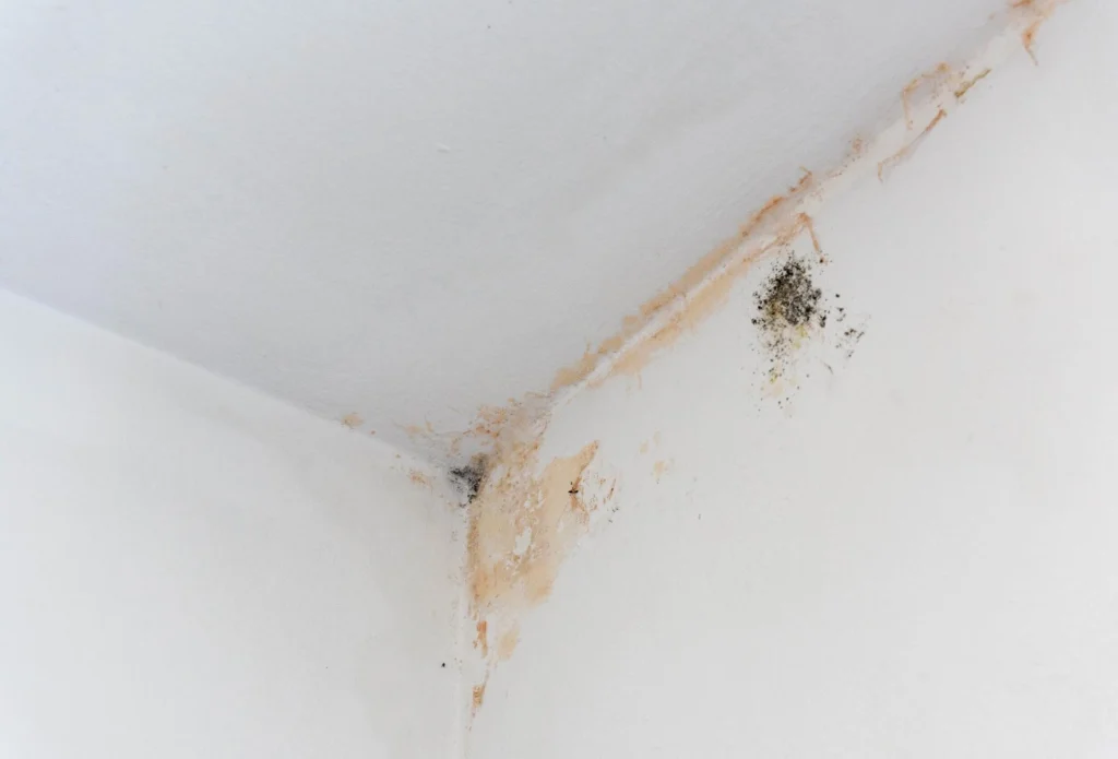 monud-removal-services-image-03