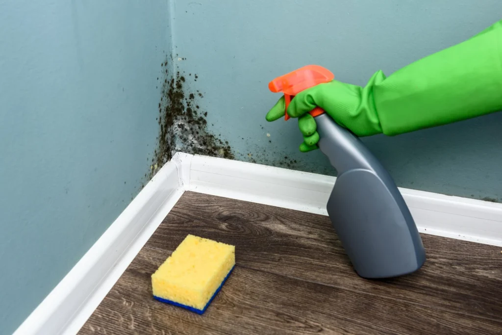 monud-removal-services-image-07